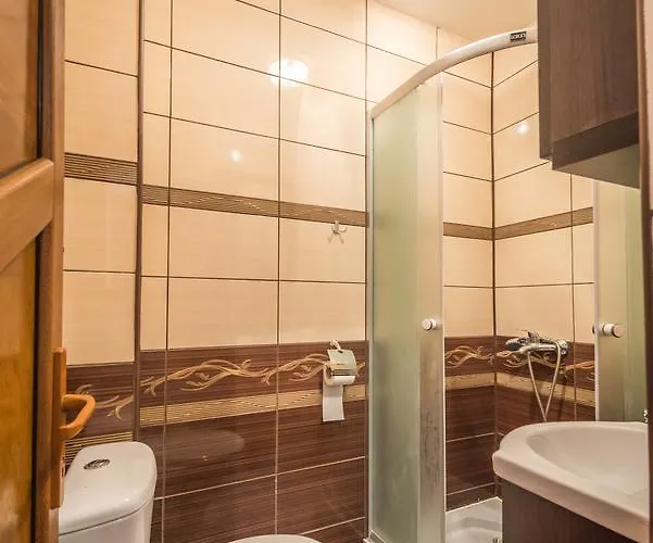 Foisor Hotel 3*
